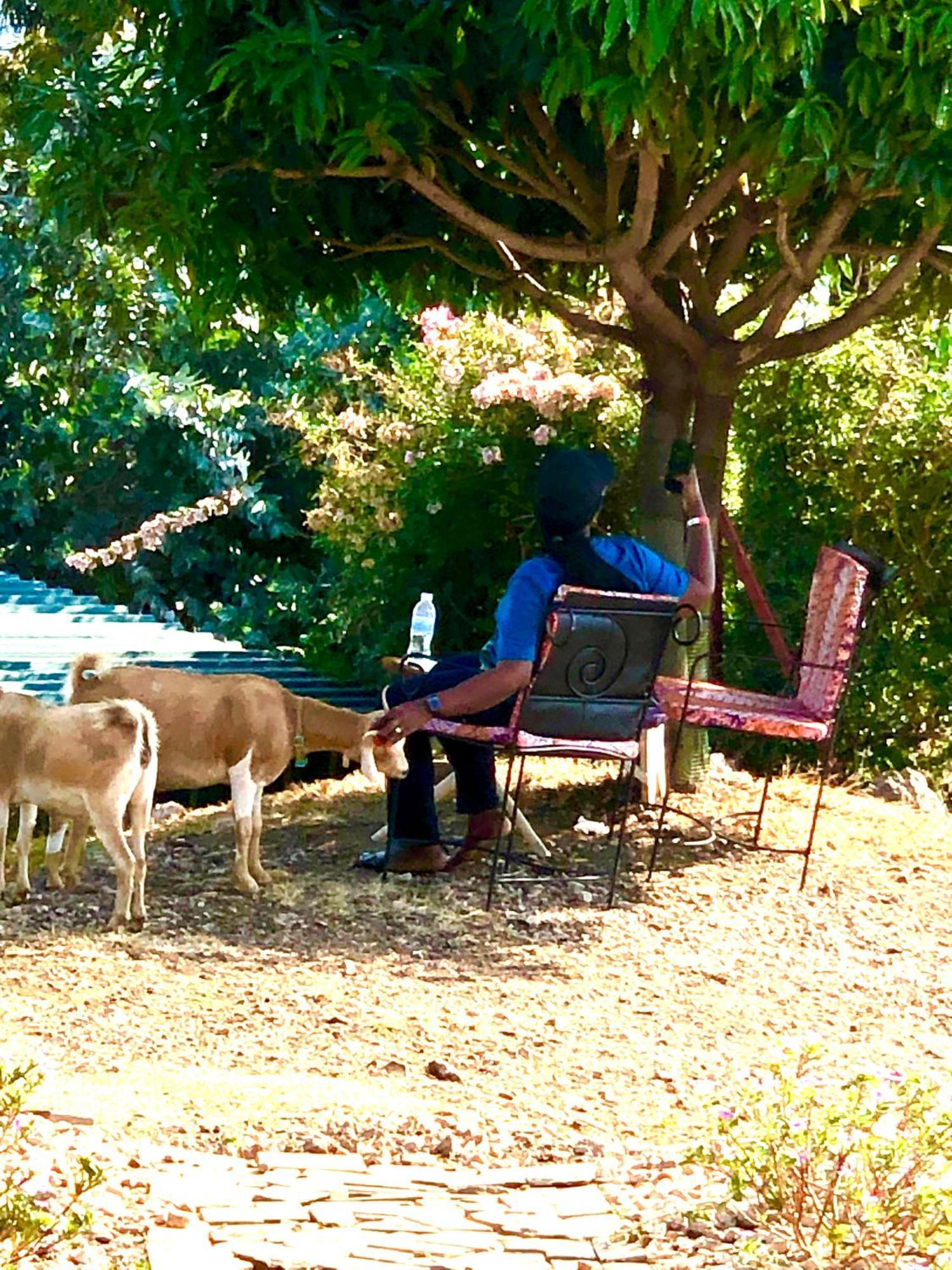 Amazi Land Home And Farm Stay Kibuye المظهر الخارجي الصورة